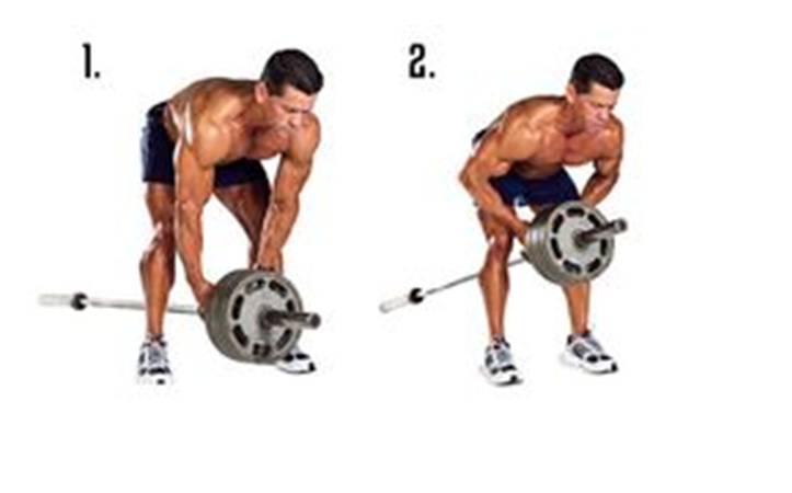Fitns7